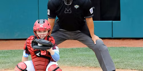 2-Umpire System Clinic - Warner Robins 2026