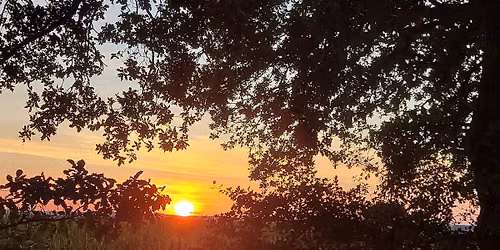  LITHA2026 \u2013 Summer Solstice Wellbeing Retreat