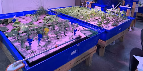 Aquaponics Educator Workshop