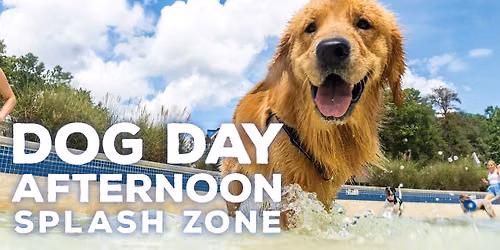 Dog Day Afternoon at Splash Zone - August 15, 2026