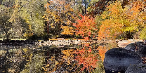 Lithia Park Loop Walk\/Hike