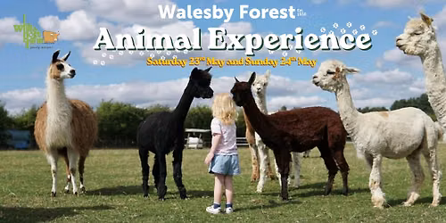 Walesby Forest Animal Experience