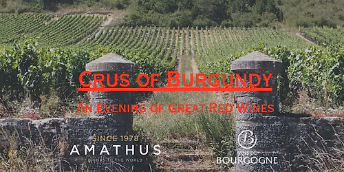 Crus of Burgundy with a Master of Wine | Amathus Elgin Crescent