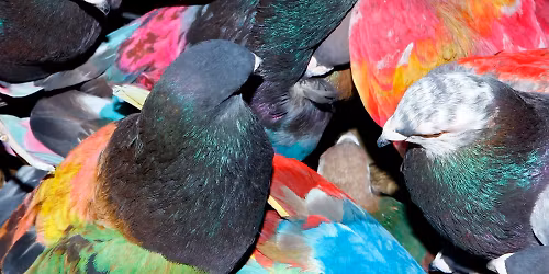 Blawan, Jensen Interceptor, NET GALA, DJ MELL G, KAVARI, Oph\u00e9lie in Berlin