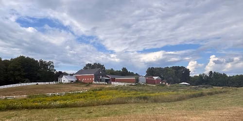 Donkey Day