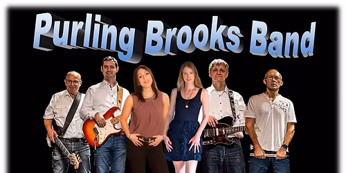 Country Night - Purling Brooks Band