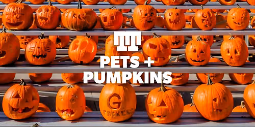 Pets + Pumpkins