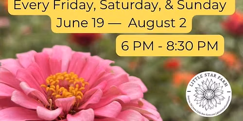 U-Pick Flowers at Little Star Farm \ud83c\udf1f 