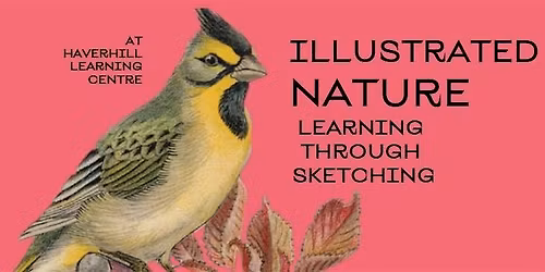 Illustrated Nature