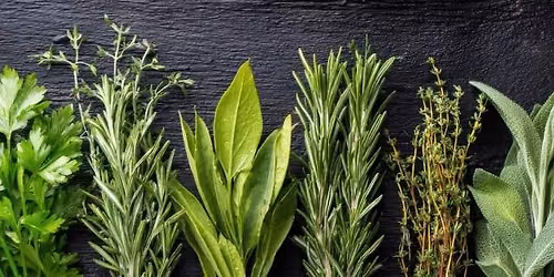Healthy Edible Gardening Series: Herbs
