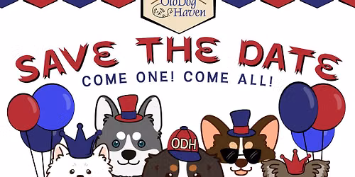 2026 Old Dog Haven Pups On Parade