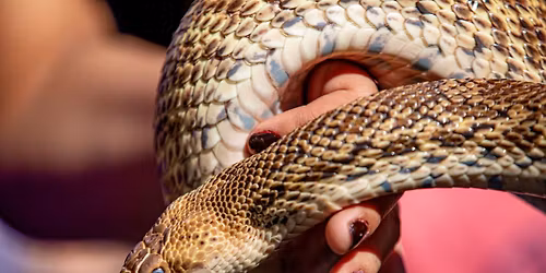 Tres Rios Nature Festival