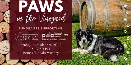 Paws In The Vineyard