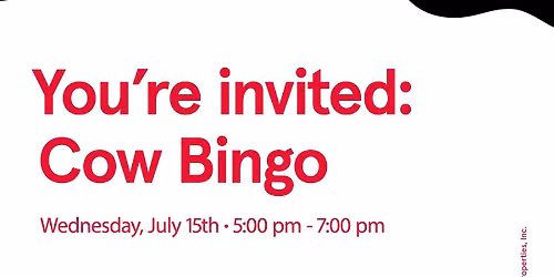 Cow Bingo
