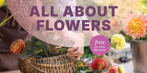 All About Flowers