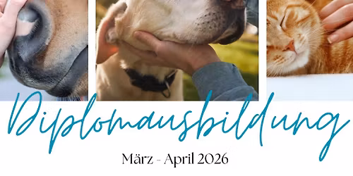 Diplomausbildung Cranio Sacral Balancing am Tier