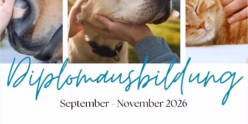 Diplomausbildung Cranio Sacral Balancing am Tier