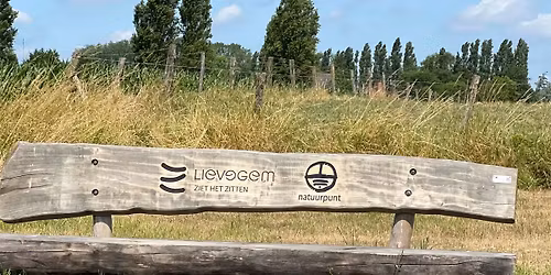 Wandeling \u201cVerlies v\u00f3\u00f3r volwassenheid\u201d