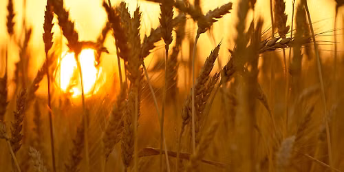 Solstizio d\u2019estate: Alle origini della vita