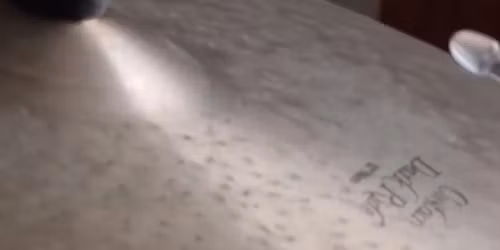 Molina in Montr\u00e9al