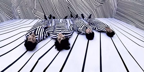 Ladytron w\/ Danz CM