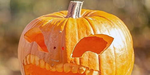Halloween Fun with Staffordshire Wildlife Trust