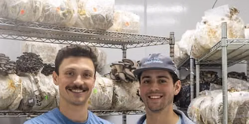 Explore Chicago\u2019s Indoor Mushroom Farm Experience