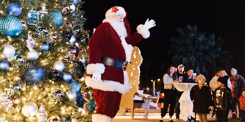 Tree Lighting Ceremony