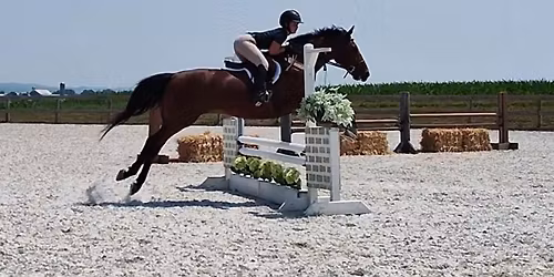 Blue and Gray Hunter Show @ Millstone Stables 