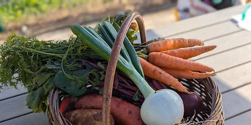 Nourishing the Neighborhood: Veggies and Blooms