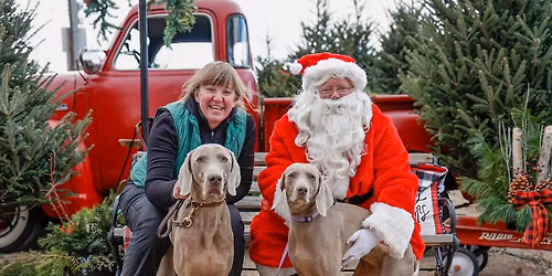 Santa Paws in Arvada
