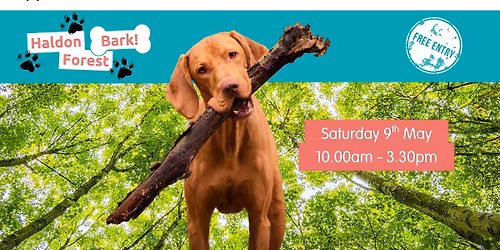 Haldon Forest Bark 