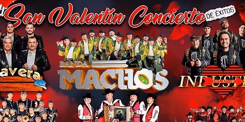 Conjunto Primavera with Banda Machos