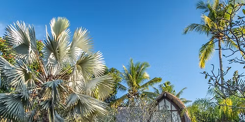 journey though the five elements BALI YOGA WELLBEING RETREAT 