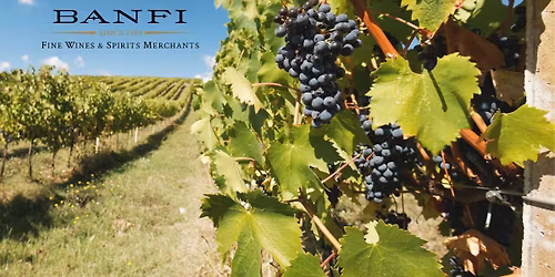 Banfi Italian Wine Dinner