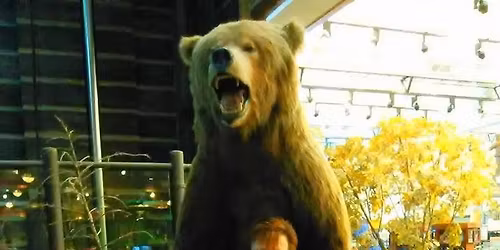 Celebration of Life for Jill \u201cGranny\u201d Bush (Duffin)