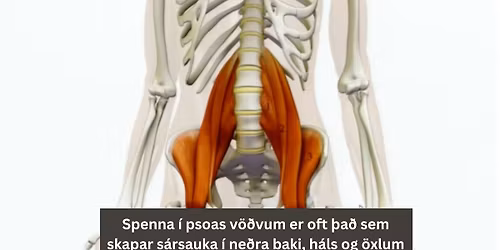 TRE\u00ae Viltu losna vi\u00f0 verki, streitu og spennu \u00far l\u00edkamanum, og n\u00e1 g\u00f3\u00f0ri hv\u00edld.