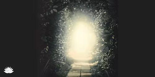 Echoes Through Time: A Group Past Life Regression Experience