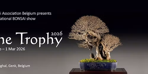 The Trophy 2026 by Bonsai Association Belgium