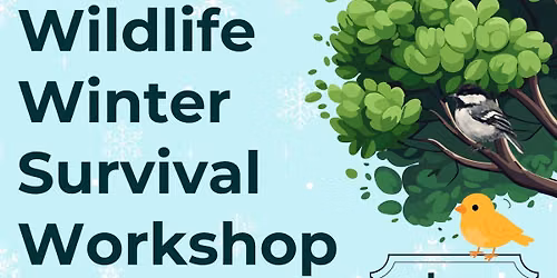Wildlife Winter Survival Workshop