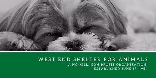 Low-Cost Pet Vaccine Clinic