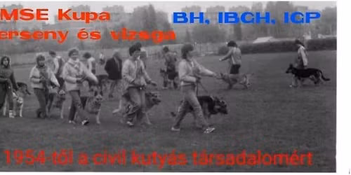 OMSE kupa (Hivatalos vizsga \u00e9s verseny)