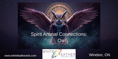 Spirit Animal Connections: Owl