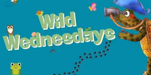 Wild Wednesday -  Centipedes and Millipedes