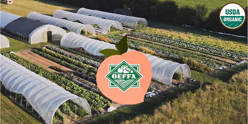 Inside the Market Garden Tour