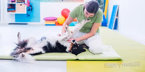 "Sports evaluation" weekend with Jana Gams \ud83c\uddf8\ud83c\uddee