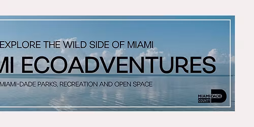 Oleta River Canoe Excursion