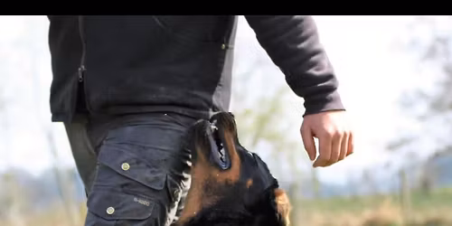 Zuchttauglichkeitspr\u00fcfung (ZTP)