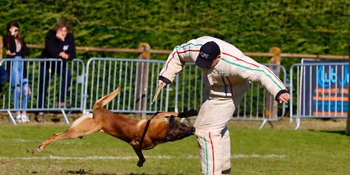 Roman Behaeghel French Ring Seminar 