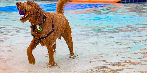 WaterBARK Day!